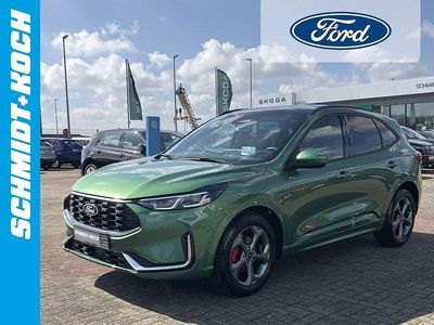 Gebraucht Ford Kuga ST-Line X 151 PS (111 kW) 2024 Bursting green (grün) SUV