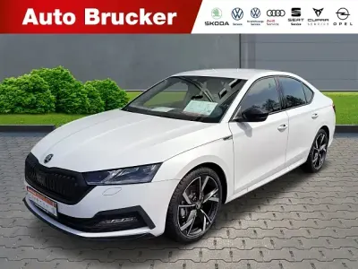 Gebraucht Skoda Octavia SportLine 150 PS (110 kW) 2024 Weiss Limousine