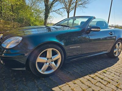 Mercedes SLK230