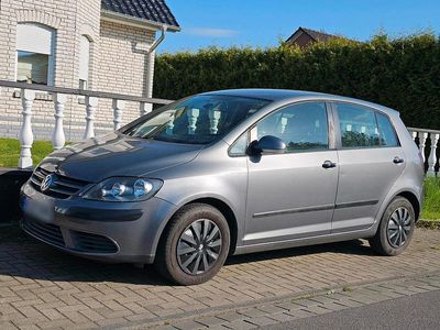 Usata VW Golf Plus Cross 75 CV (55 kW) 2005 Grigio Monovolume