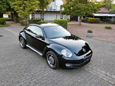 VW Beetle