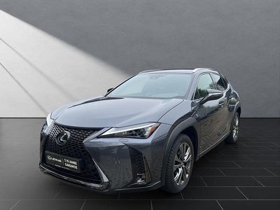 Gebraucht Lexus UX 250h F Sport 184 PS (135 kW) 2024 Grau SUV