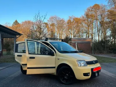 Brugt Fiat Panda 2009 Gul Hatchback