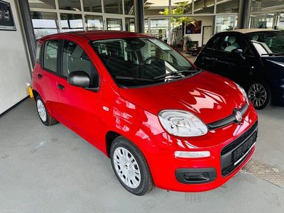 Nouă Fiat Panda 69 CP (50 kW) 2025 Roșu Hatchback