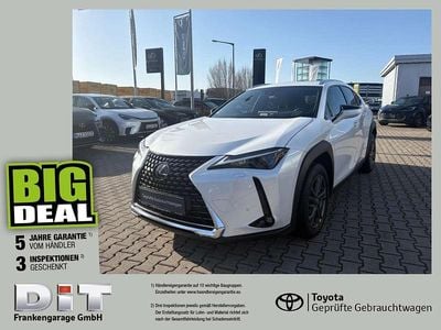 Gebraucht Lexus UX 250h Executive Line 184 PS (135 kW) 2022 Sonic white SUV
