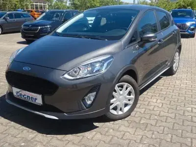 Gebraucht Ford Fiesta Active 101 PS (74 kW) 2019 Grau Kleinwagen