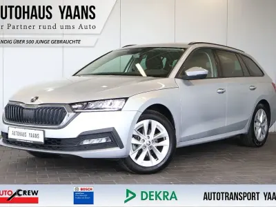Gebraucht Skoda Octavia