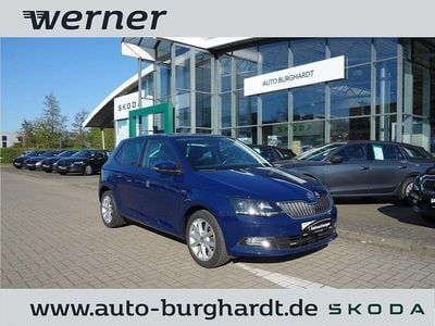 Usata Skoda Fabia Drive 90 CV (66 kW) 2017 Blu Berlina