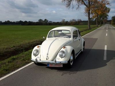 gebraucht VW Käfer 1200, 1960. Blinker/Winker