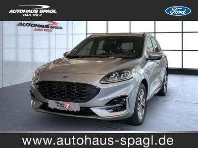 Usata Ford Kuga ST-Line 150 CV (110 kW) 2024 Argento SUV