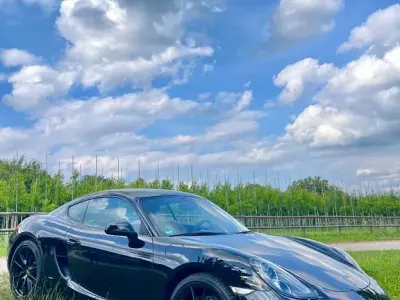 Gebraucht Porsche Cayman Black Edition 275 PS (202 kW) 2014 Schwarz Coupé
