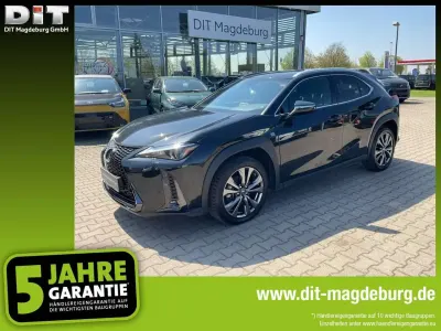 Gebraucht Lexus UX 250h Sport Design Packet 184 PS (135 kW) 2024 Graphite black SUV