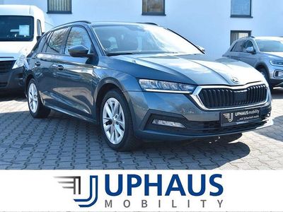 Usata Skoda Octavia Ambition 150 CV (110 kW) 2021 Grigio Station wagon