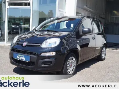 Gebraucht Fiat Panda Easy 69 PS (50 kW) 2019 Colore esterno (cinema schwarz Kleinwagen