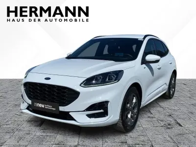 Gebraucht Ford Kuga ST-Line X 190 PS (139 kW) 2023 Frostweiß (weiß) SUV