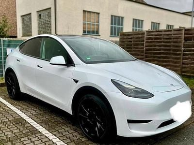 Usado Tesla Model Y Standard Range 219 kW (299 HP) 2023 Branco SUV