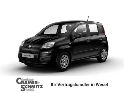 Neu Fiat Panda Icon 69 PS (50 kW) 2025 Cinema schwarz Limousine