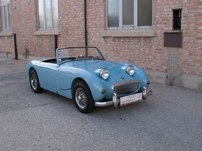 gebraucht Austin Healey Frogeye 