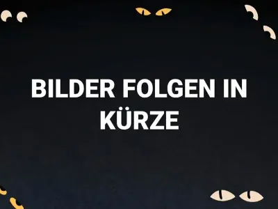 Brugt BMW 525 Luxury Line 218 HK (160 kW) 2016 Brun Stationcar