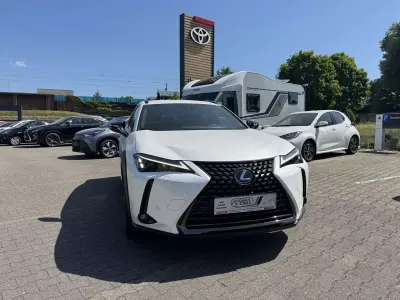 Używany Lexus UX 250h
