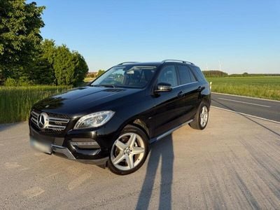Mercedes ML250