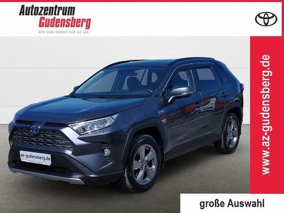 Usata Toyota RAV4 Hybrid Club 222 CV (163 kW) 2019 Grigio SUV