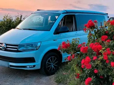 Gebraucht VW California Edition 204 PS (150 kW) 2016 Weiß Van