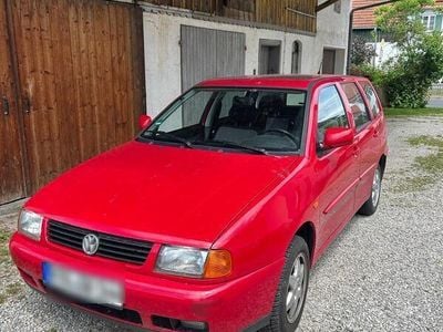 VW Polo