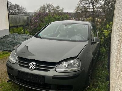 gebraucht VW Golf IV 