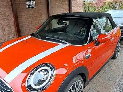 Usata Mini Cooper Cabriolet Chili 136 CV (100 kW) 2019 Arancione Cabrio