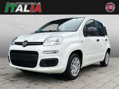 Weiß (gelato weiß) Neu 2025 Fiat Panda Pop Limousine | 20.575 €