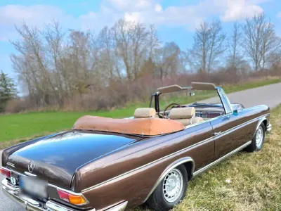 Gebraucht Mercedes W111 SE 120 PS (88 kW) 1962 Braun Cabrio
