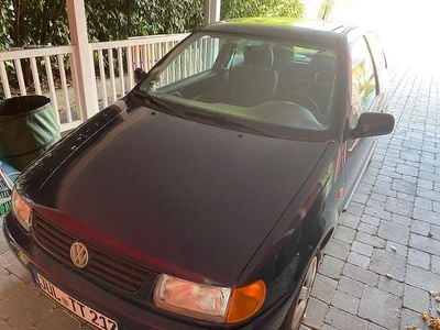 VW Polo
