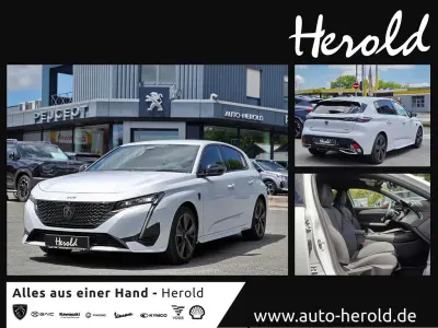 Neu Peugeot 308 GT 150 PS (110 kW) 2025 Weiß Limousine