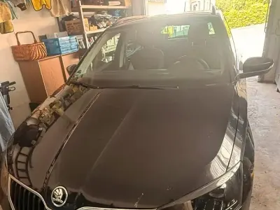 Gebraucht Skoda Fabia 75 PS (55 kW) 2015 Schwarz Kombi