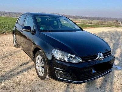 gebraucht VW Golf Golf1.4 TSI BlueMotion Technology Lounge