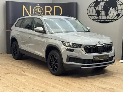 Gebraucht Skoda Kodiaq Ambition 150 PS (110 kW) 2022 Steelgrau SUV