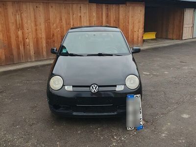 gebraucht VW Lupo 3L TDI mit TÜV