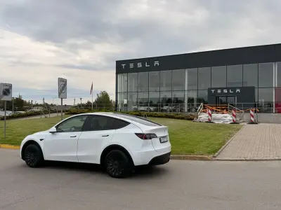 Brugt Tesla Model Y