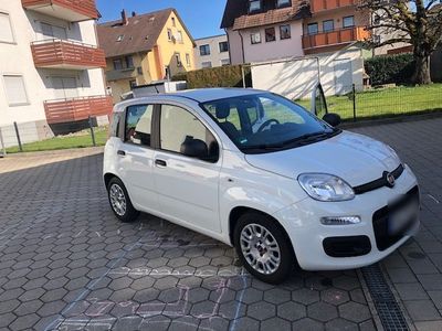 gebraucht Fiat Panda 