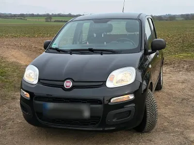 Gebraucht Fiat Panda 69 PS (50 kW) 2016 Schwarz Kleinwagen
