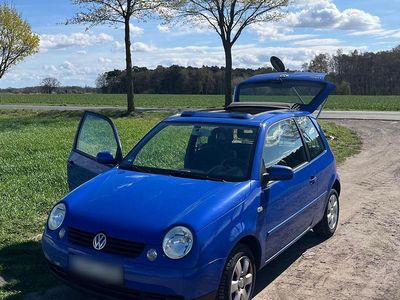 Gebraucht VW Lupo 60 PS (44 kW) 2002 Blau Kleinwagen