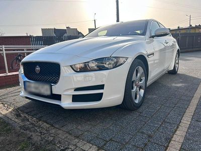 Gebraucht Jaguar XE 250 PS (183 kW) 2018 Weiß Limousine