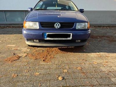 VW Polo