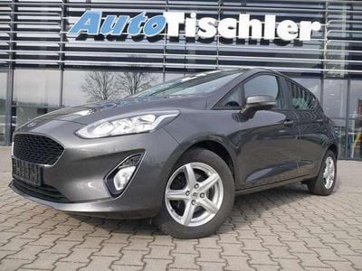 Gebraucht Ford Fiesta 101 PS (74 kW) 2019 Magneticgrau (metallic) Kleinwagen