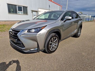 gebraucht Lexus NX300h Executive Line Navi Leder Xenon