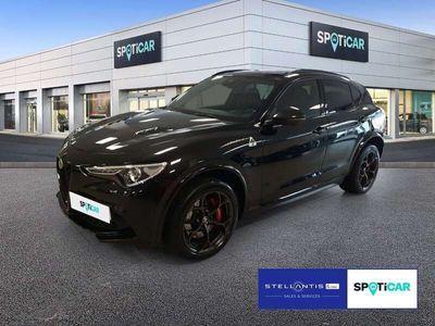 gebraucht Alfa Romeo Stelvio (630) Quadrifoglio *Navi*Akrapovic*Sparco*Pano*ACC