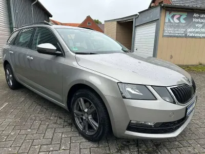 Gebraucht Skoda Octavia Active 86 PS (63 kW) 2018 Cappuccinobeige metallic Kombi