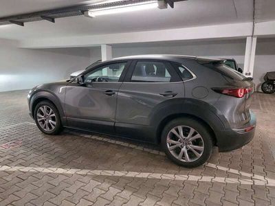 gebraucht Mazda CX-30 2.0 SKYACTIV-X M-Hybrid Edition 100 Ed...