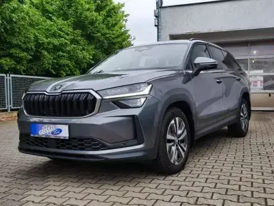 Gebraucht Skoda Kodiaq Selection 193 PS (141 kW) 2024 Graphitegraumet. (metallic) SUV